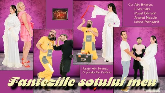 Fanteziile soțului meu