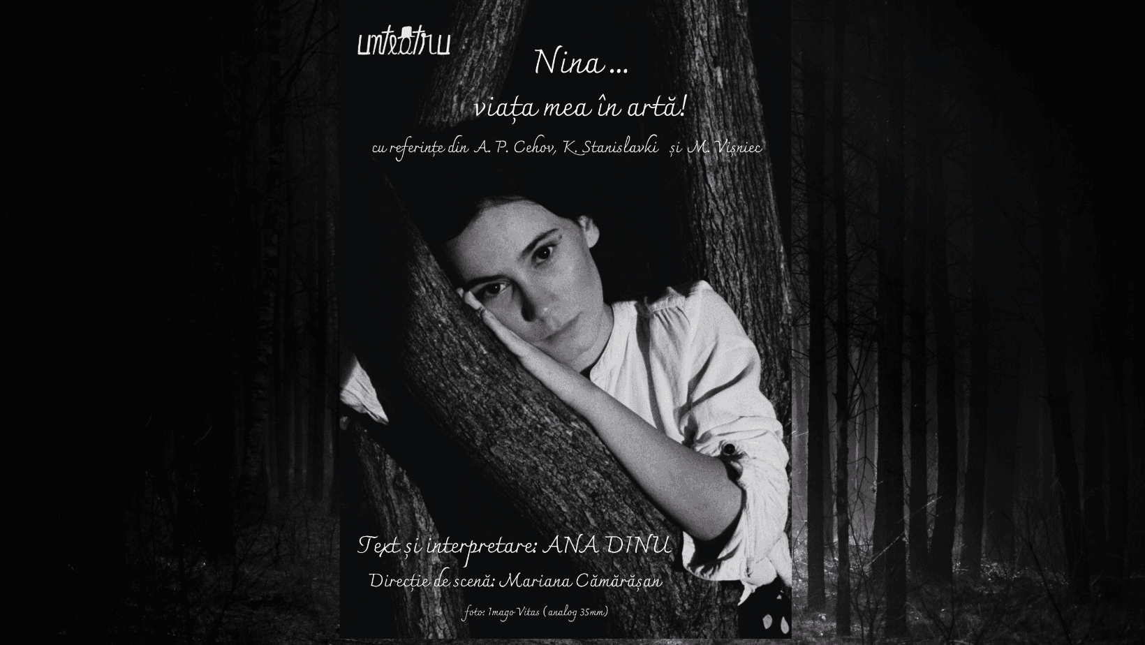 Nina...viața mea în artă