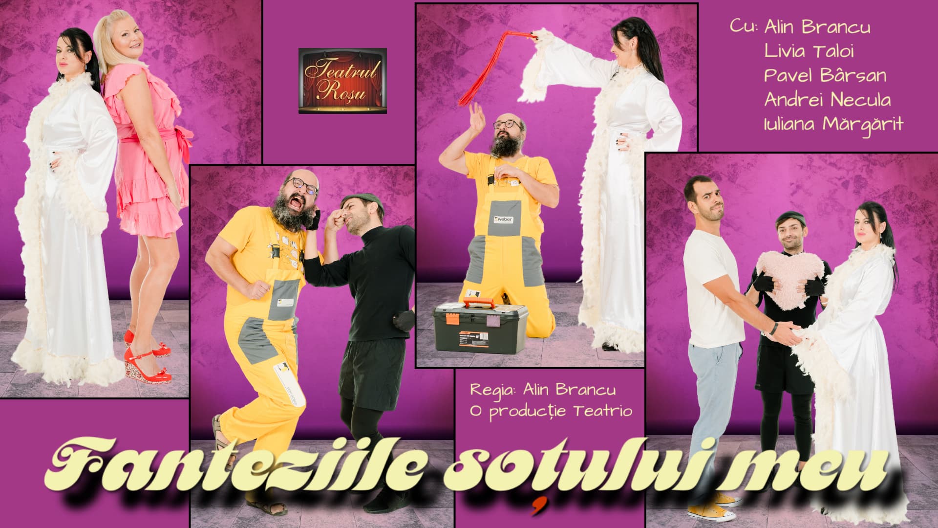 Fanteziile soțului meu